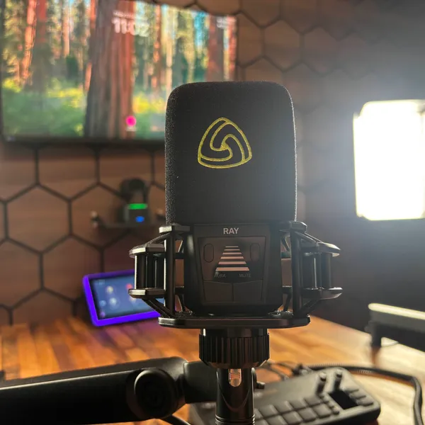 Studio – close-up detail